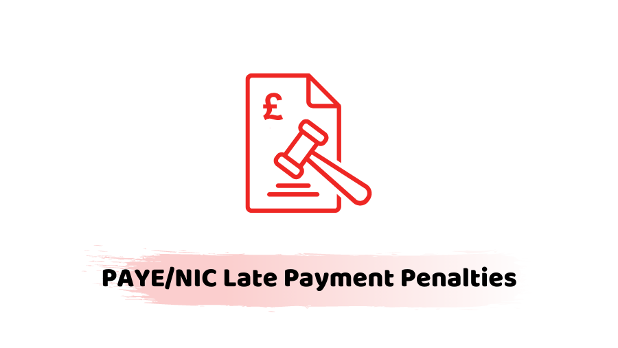 PAYENIC Late Payment Penalties