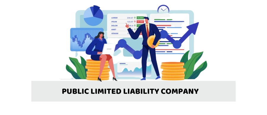 Public Limited Liability Company 