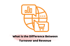 Turnover vs Revenue