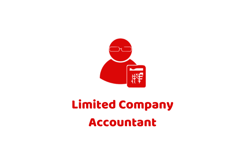 Company accountant