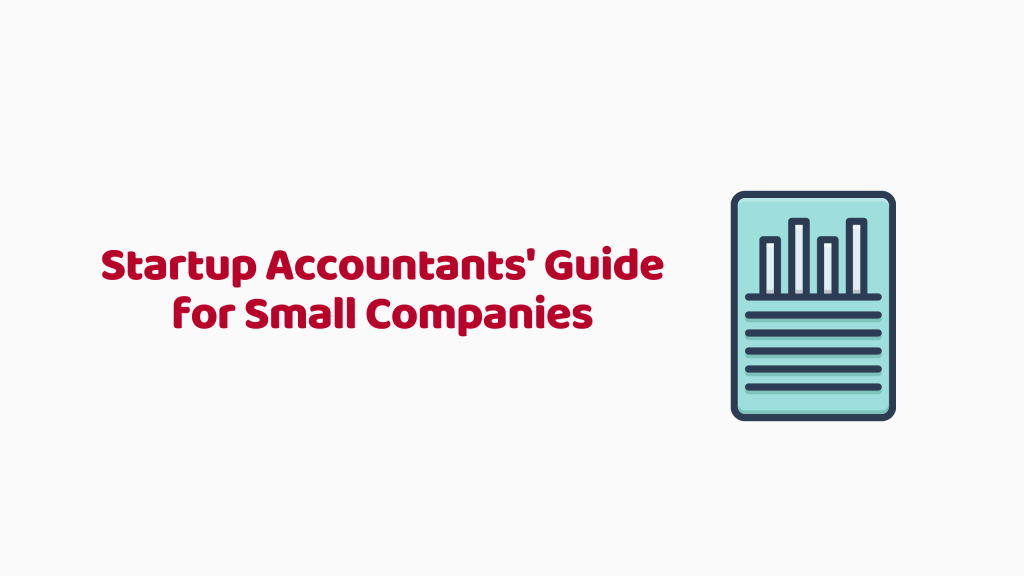 Startup Accountants Audit Guide