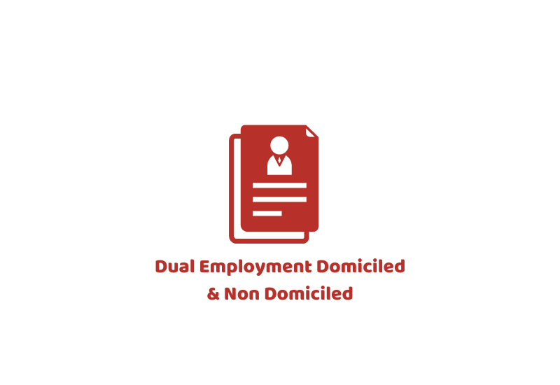 Dual Employment Contracts
