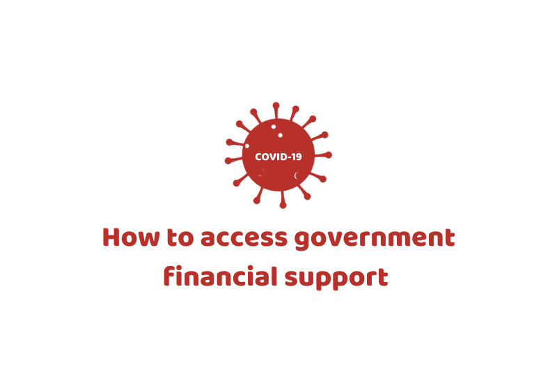government financial support