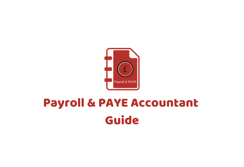 PAYE Accountant