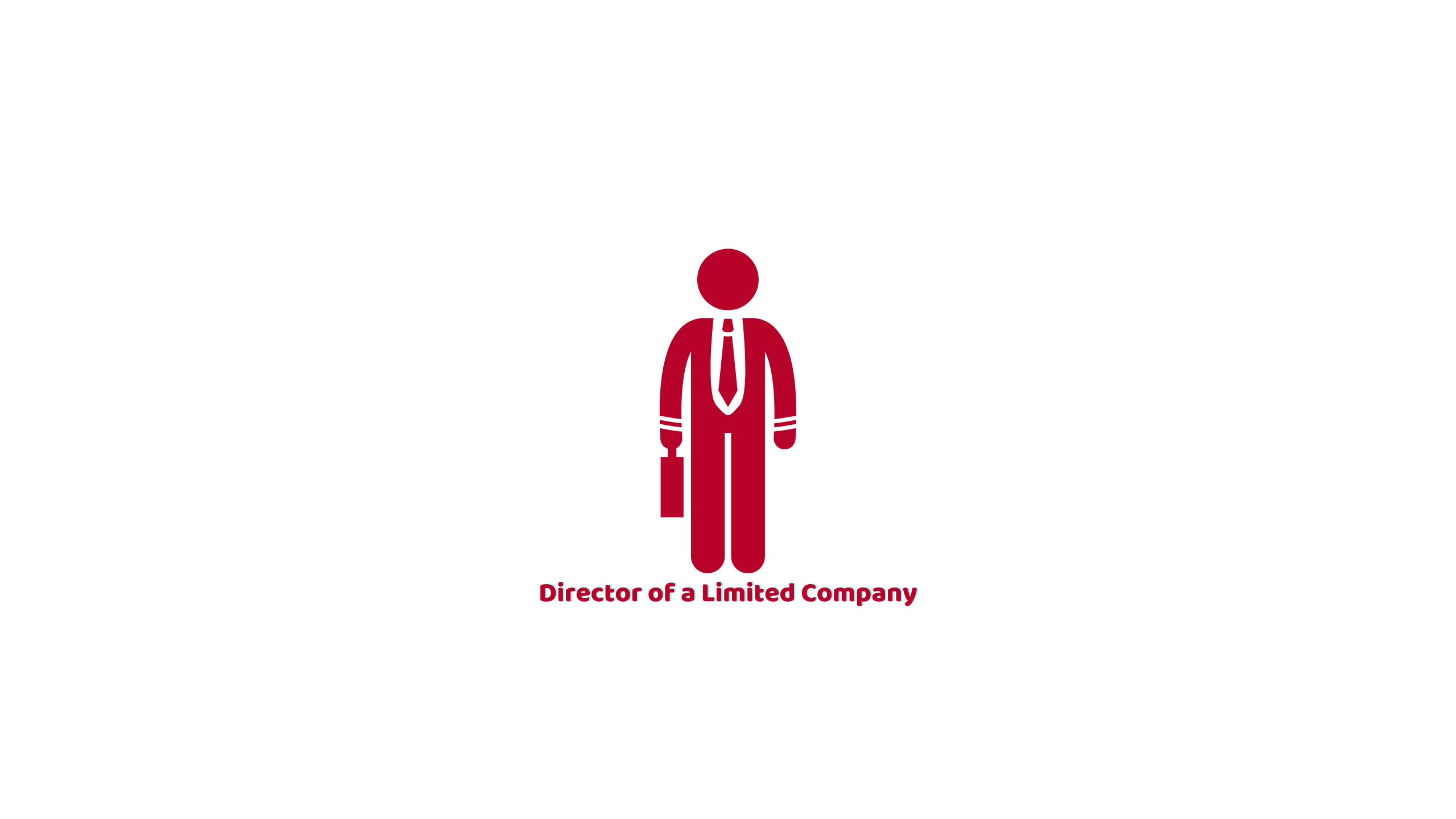 Director of a Limited Company