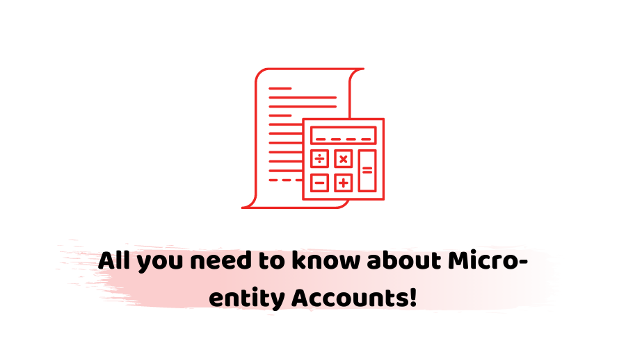 What is micro-entity accounts