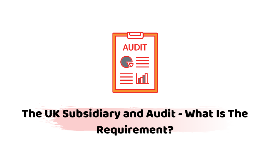 what is an audit exemption