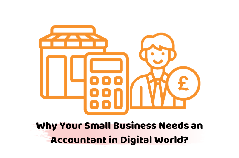 the role of accountants in digital business world