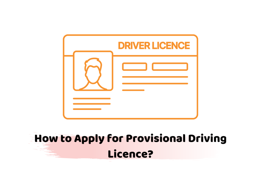 apply for a provisional driving licence