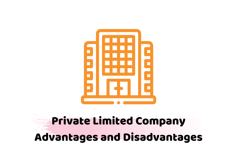 private limited company advantages and disadvantages