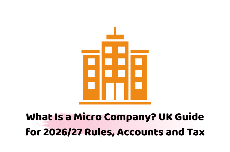 What Is a Micro Company