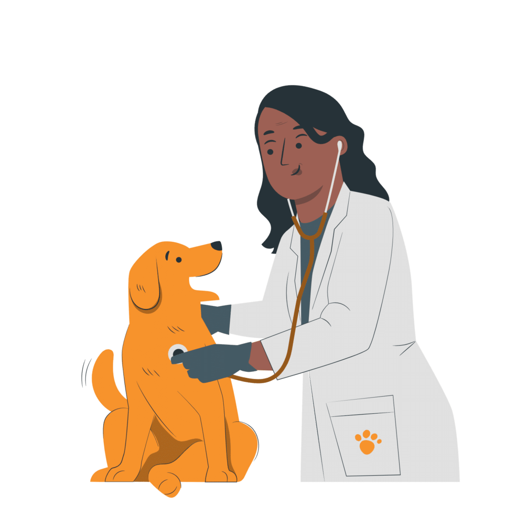 accountants for locum vets
