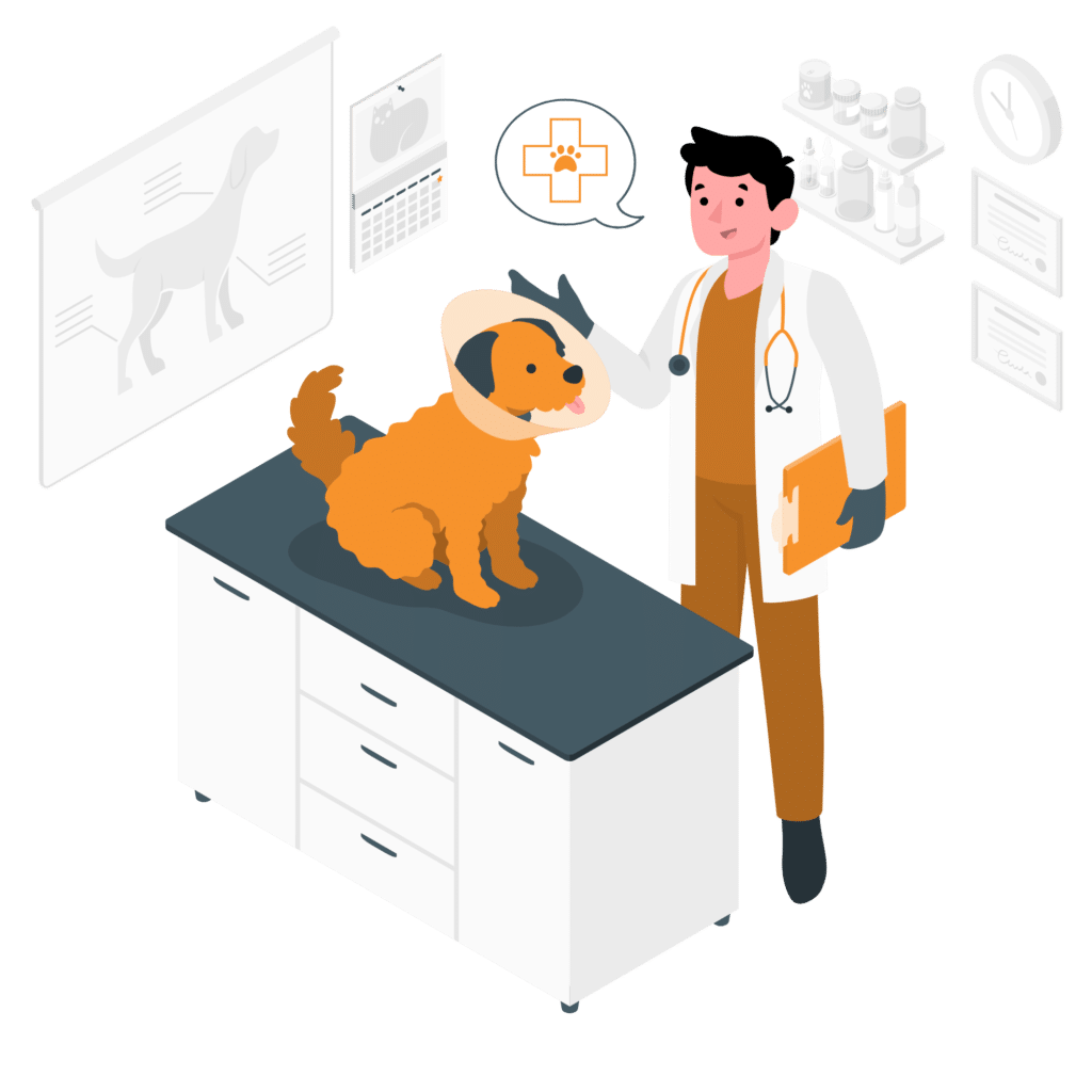 vet accountants